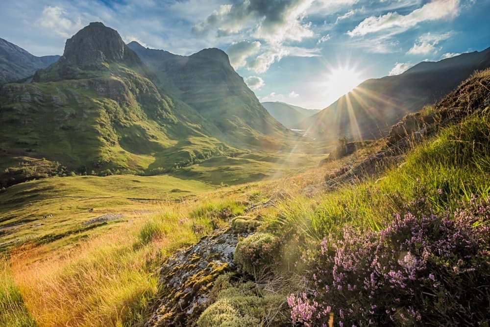 glencoe